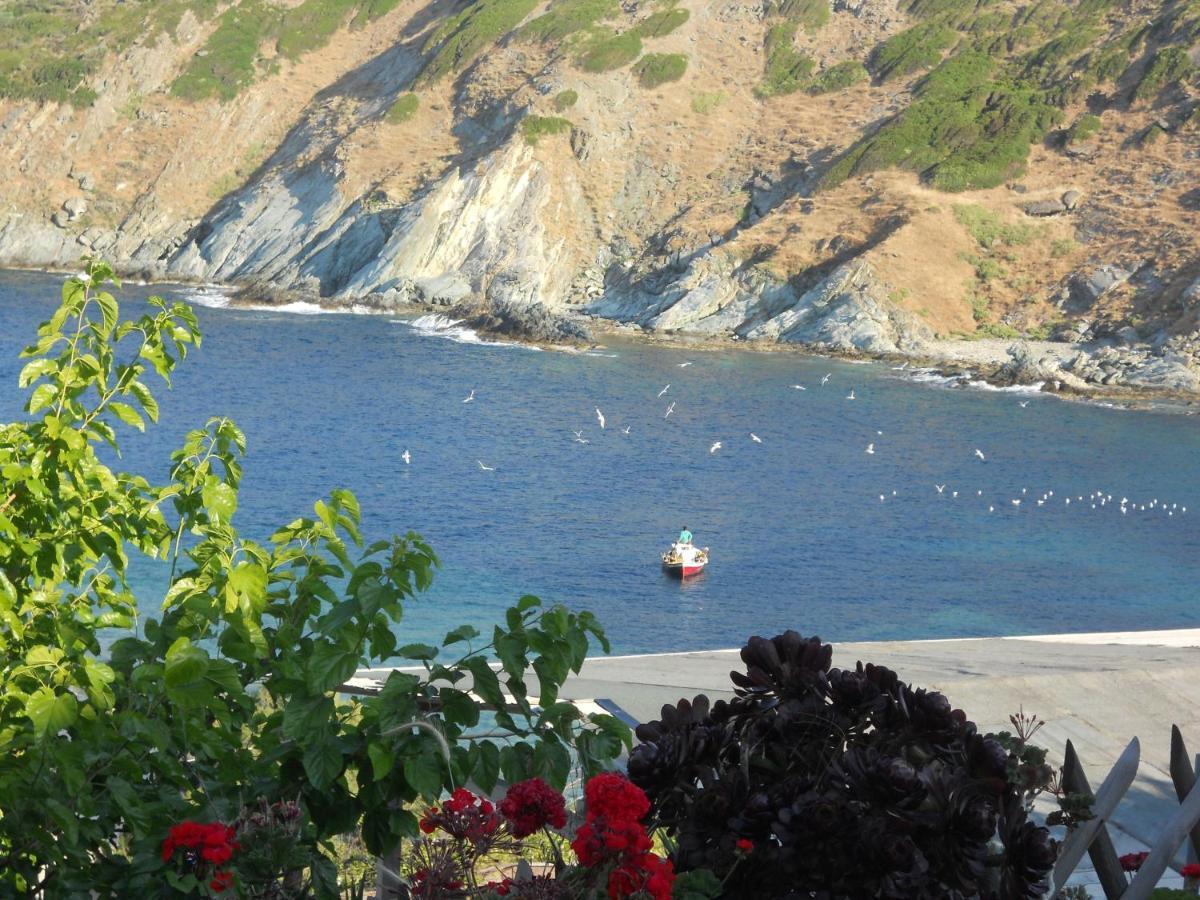 Hotel Bel Mare Agioi Apostoloi  Exteriér fotografie